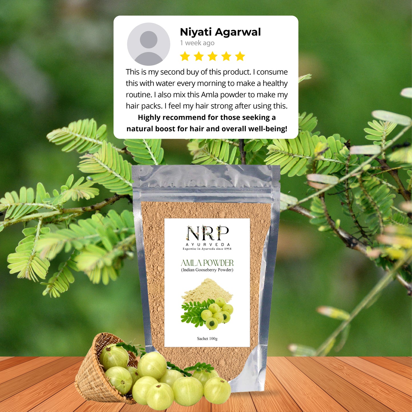 Amla Powder (100gm)