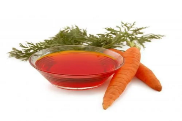 carrot-seed-oil (1)